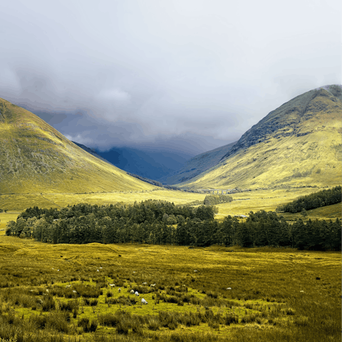 Take an epic road trip through the Scottish highlands to admire the stunning landscapes