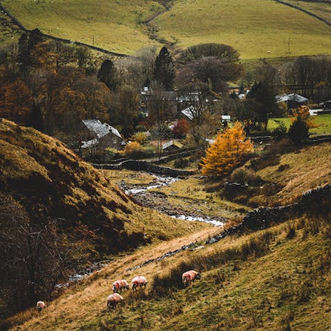 Take a hike in the beautiful Yorkshire Dales, just an eight-minute drive away