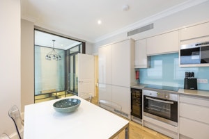 The Silver Pearl image 6