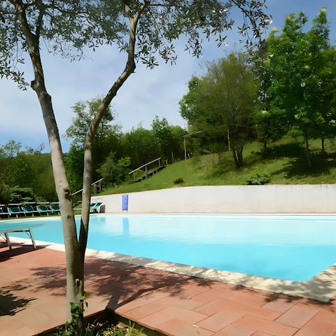 Relax by the shared pool surrounded by lawns and trees