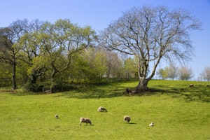 Trinity Barn image 11