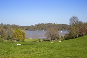 Trinity Barn image 9