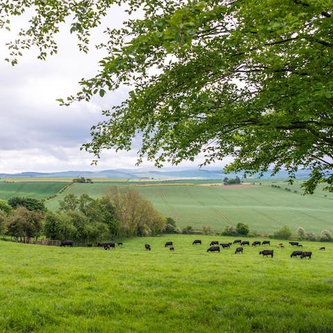 Ramble through Northumberland's stunning countryside, right on your doorstep