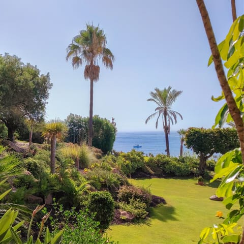 Immerse yourself in the natural beauty of Estepona and its exotic gardens 