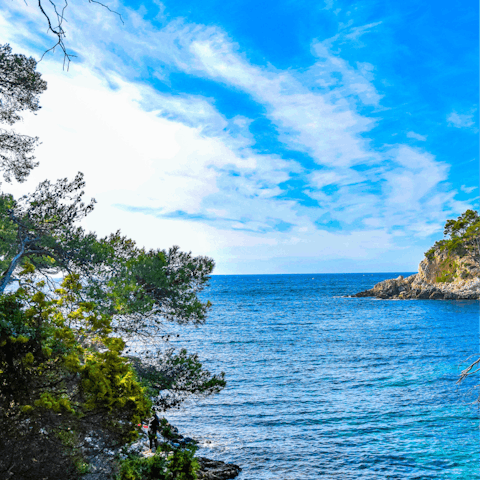 Drive along the beautiful coastline to Sanary-sur-Mer