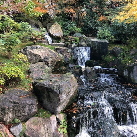 Go for a stroll around Holland Park – the Kyoto Garden is a lovely spot to relax