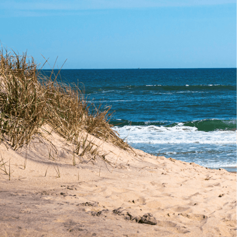 Sun yourself on the salubrious beaches of the Hamptons