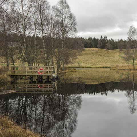 Head to the lake and fish for brown trout