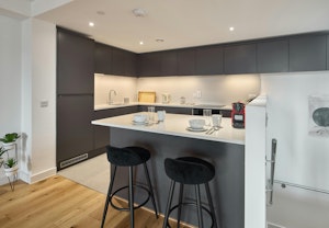 Northern Spirit image 11