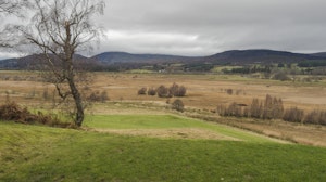 Old Milton image 15