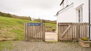Clotted Cream image 10