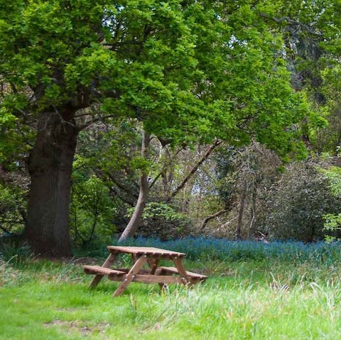 Picnic at the tables dotted around the reserve