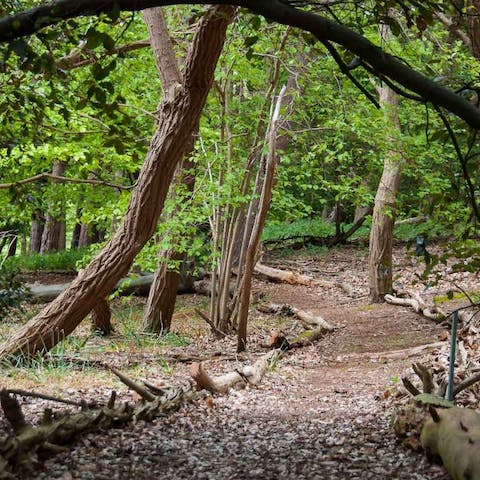 Stroll through the meandering footpaths of the shared nature reserve
