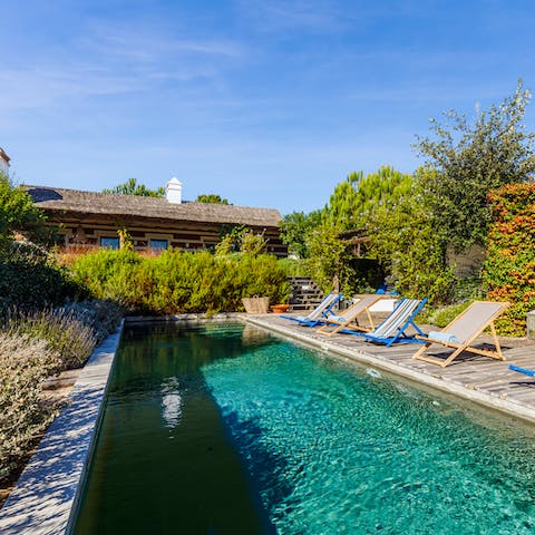 Take a refreshing dip in the emerald green pool