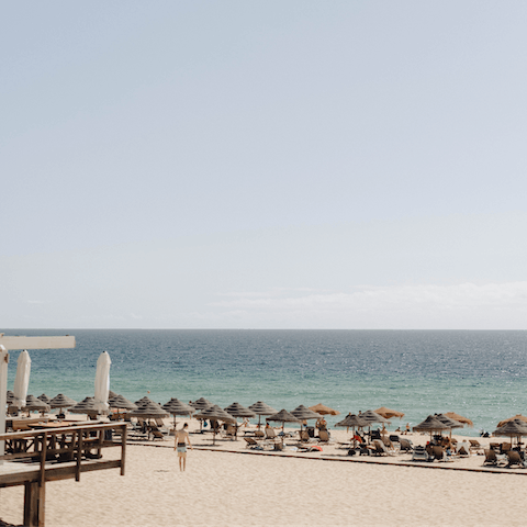 Immerse yourself in Comporta's spectacular nature, from sandy beaches to rice fields and pine forests