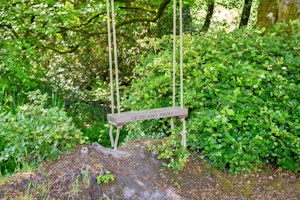 Woodland Willow image 3