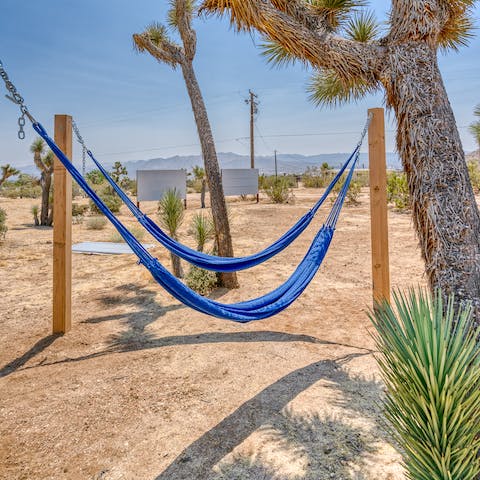 Take an afternoon nap under the Joshua tree