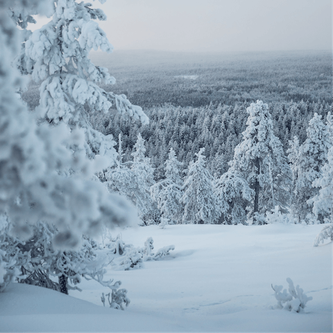 Stay in Lapland's Levi Ski Resort