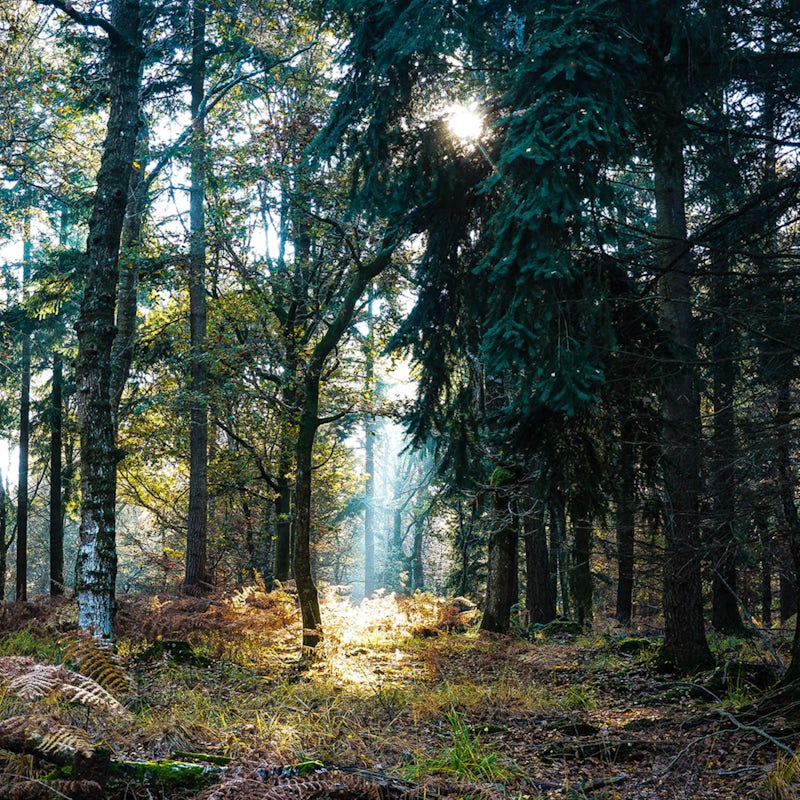Hiking awaits on the Panhe Nature Trail, under a mile from your home