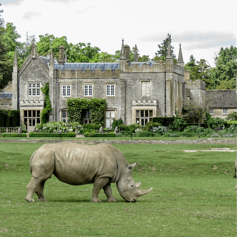 Visit the Cotswolds Wildlife Park in nearby Burford