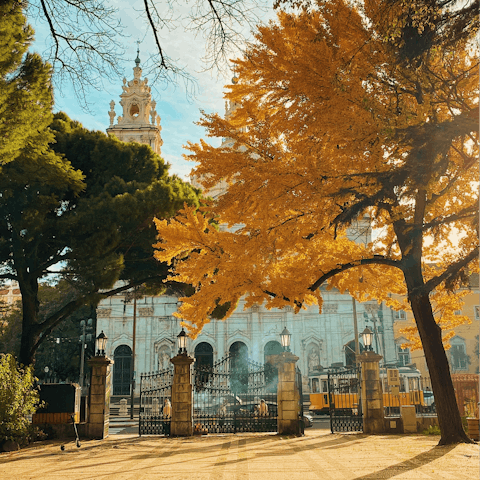 Walk to the tree-filled Jardim da Estrela in just ten minutes