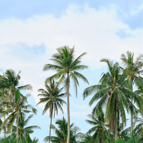 Stay by the beautiful beach of Khok Kloi  