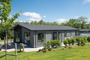 A Devon Star image 4