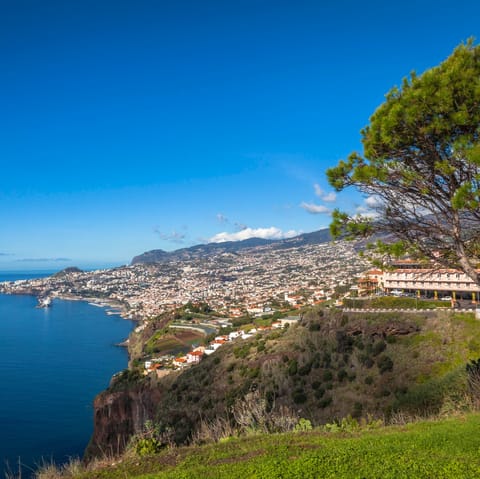 Take in the sights of vibrant Funchal
