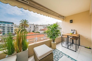 Bright Summer Sunshine image 1