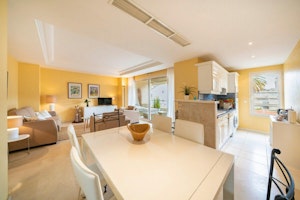 Bright Summer Sunshine image 7