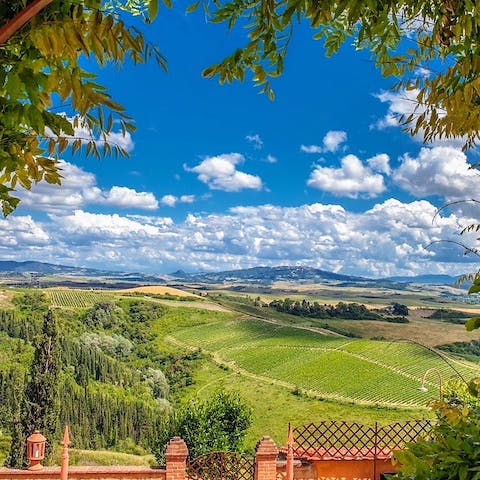 Sip wine while admiring the views of rolling hills all the way to Volterra