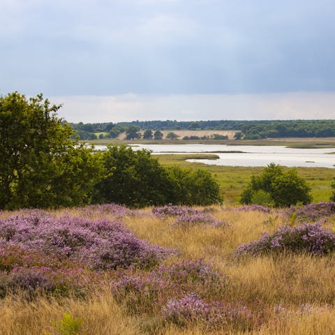 Make the most of the rural location and explore the Suffolk countryside – there are beautiful walks on your doorstep