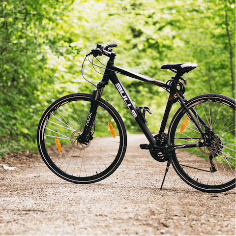 Bring a bike and cycle through the forest – you can also rent bikes nearby