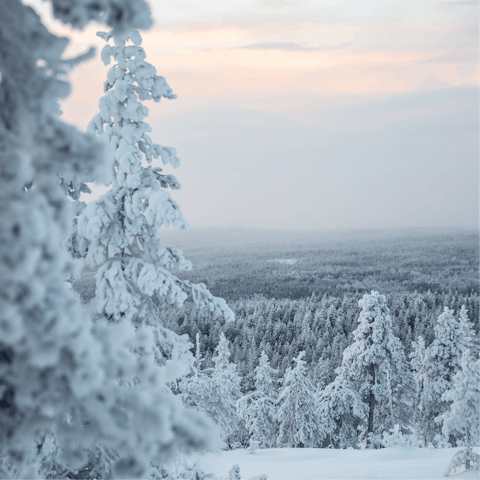 Discover the Pöntsövaara fell – your host provides toboggans and snowshoes