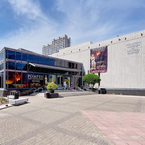 Explore your Museum District neighbourhood – the Houston Museum of Natural Science is a  twenty-minute walk away