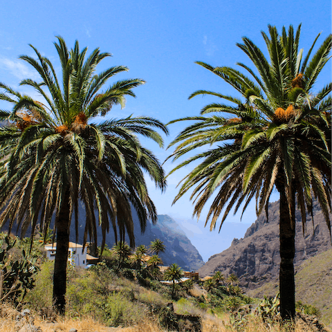 Hike Tenerife's trails and take in some stunning scenery 