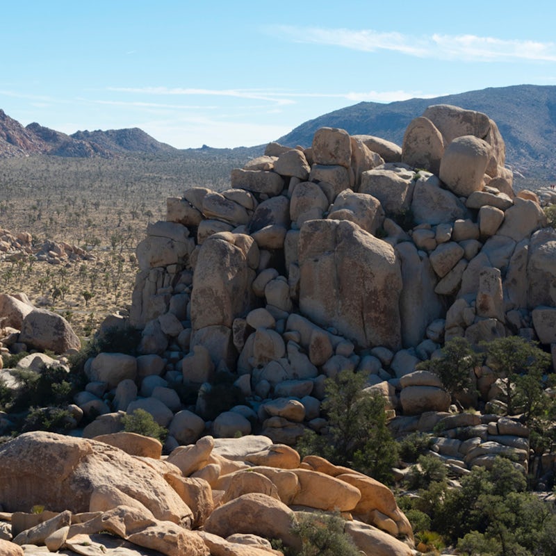 Drive to Joshua Tree National Park in just thirty-five minutes
