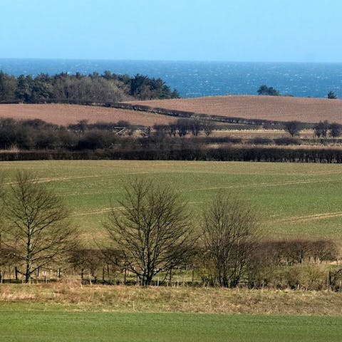 Head out for a coastal walk along Dunstan Steads, a ten-minute drive