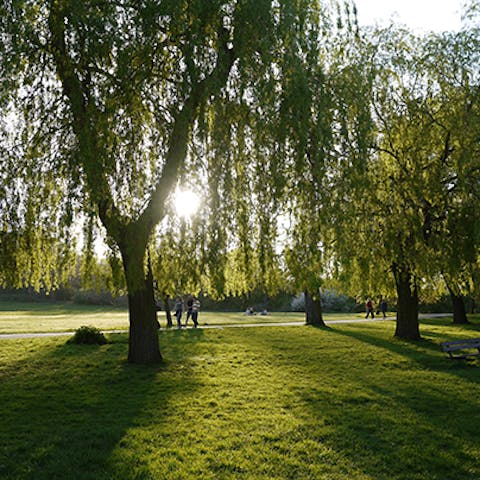 Take an early morning jog around Hampstead Heath