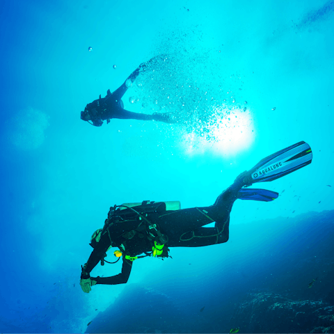 Explore Kea's underwater world with its many shipwrecks