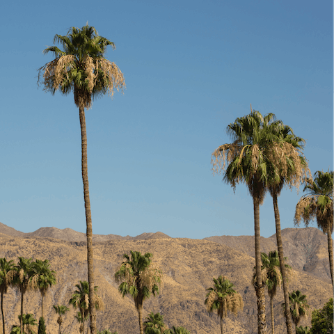 Experience the old and new of Palm Springs 