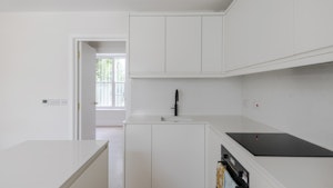 Lime & Sycamore image 9