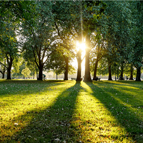 Hop over to Hyde Park for a leisurely stroll or morning jog