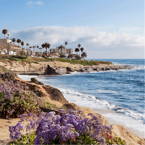 Explore La Jolla's curving coastline, only ten-minutes by car