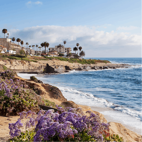 Explore La Jolla's curving coastline, only ten-minutes by car 