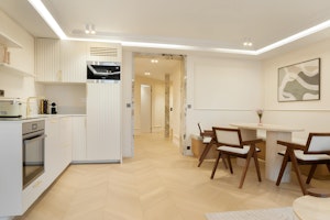 Haussmannian Paris image 12