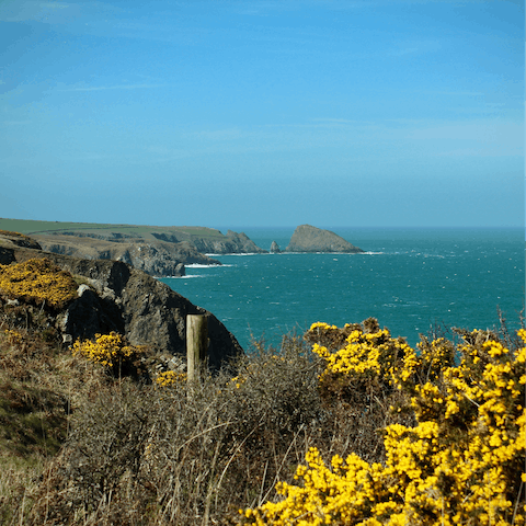 Explore Pembrokeshire's unspoilt beaches and famous Coast National Park, a sixteen-minute drive away