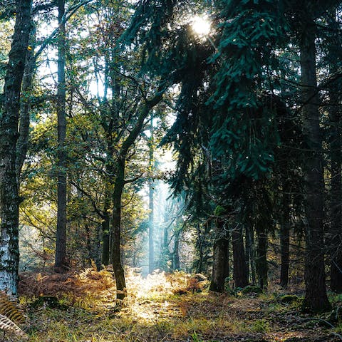 Go hiking in nearby Bluffs Regional State Park