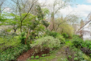 Floral Kensington image 13