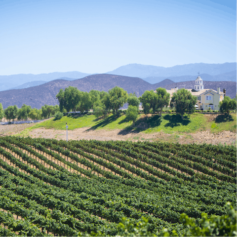 Enjoy a stay in the heart of wine country